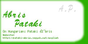 abris pataki business card